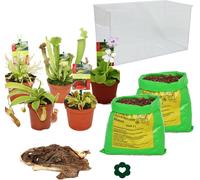 Plantes carnivores - Aquarium pour l'auto-plantation - grand