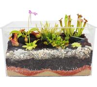 Plantes carnivores - Aquarium pour l'auto-plantation - moyen