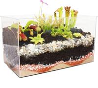 Plantes carnivores - Aquarium pour vos propres plantes - petit