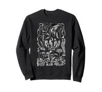 Plantes Carnivores Vintage Sarracenia botanique Sweatshirt