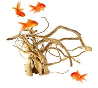 Plantes d'aquarium - Décoration décorative en bois pour aquarium de reptiles avec racine d'arbre pour terrarium ou aquarium | Branche naturelle pour habitat de tortues, cage pour amphibiens, abri pour
