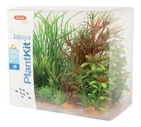 Plantes d'aquarium JALAYA 4 set Zolux