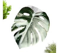 Plantes d'araignées sauteuses, décoration réaliste en forme de feuille avec ventouse, accessoires d'araignées sauteuses - pour cancer ermite, serre, plantes, serpent, tapis, œuf, intérieur, zoo