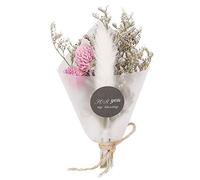 Plantes de Fleurs séchées Naturelles Petits Bouquets pour Les Arrangements de Mariage décoration de Bricolage(Blanc)