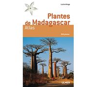 Plantes de Madagascar- Atlas