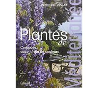 Plantes de Méditerranée: Composez votre jardin de couleurs