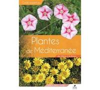 Plantes de Méditerranée Franck Le Driant (Auteur), Lionel Ferrus (Auteur)