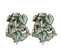 Plantes de reptiles artificielles, vignes en plastique réalistes avec ventouses pour décorations d'aquarium, ensemble de 2 pièces, simulation d'environnement de forêt tropicale (Où la racine part)