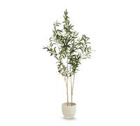 Plantes décoratives Maia Shop - Olivier Artificiel Flair 150 cm - Plante Artificielle décorative pour la Maison et Le Bureau, Arbre Artificiel réaliste avec Pot Inclus, Style méditerranéen Moderne