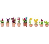 Plantes décoratives NOCH 14080 modèle fini N 9 pc(s)