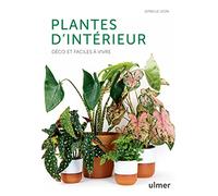 Plantes d'intérieur - Déco et faciles à vivre