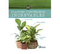 Plantes d'intérieur increvables