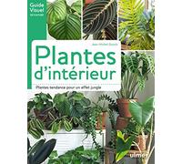 Plantes d'intérieur: Plantes tendance pour un effet jungle