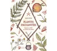 Plantes enchantées - Recettes et DIY au rythme des saisons - Gail Bussi - Danae Editions - broché - Essai