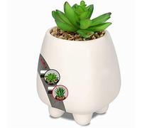 Plantes Grasses KADAX en Pot en céramique, Plantes artificielles en Pot, Fausse Plante, Petite Plante Artificielle, Plante décorative pour Salon, Bureau (Hauteur 16cm, Blanc)
