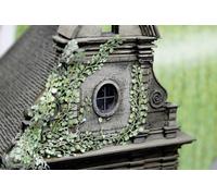 Plantes grimpantes vigne vierge MBZ 80117 vert