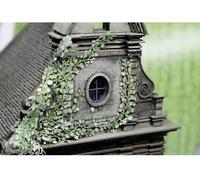 Plantes grimpantes vigne vierge MBZ 80117 vert