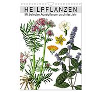 Plantes médicinales, Version française (Calendrier mural 2026 DIN A4 portrait), Calendrier CALVENDO mensuel
