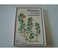 Plantes sauvages comestibles