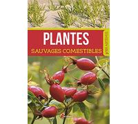 Collectif – Plantes sauvages comestibles – Guide – Broché