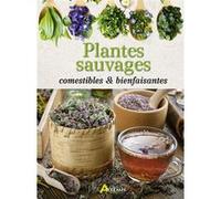 Plantes sauvages comestibles & bienfaisantes Collectif (Auteur)
