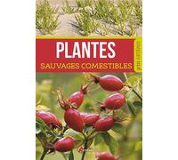 Collectif – Plantes sauvages comestibles – Guide – Broché