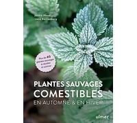 Plantes Sauvages Comestibles En Automne & En Hiver