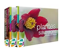 Plantes sauvages de la loire et du rhône