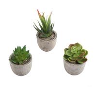 Plantes succulentes artificielles, décoration de bureau en pot, ensemble de meubles succulents, décoration réaliste (lot de 1)