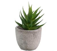 Plantes succulentes artificielles, décoration de bureau en pot, ensemble de meubles succulents, décoration réaliste (lot de 3)