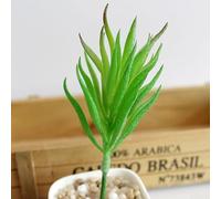 Plantes succulentes artificielles ressemblant à de l'Echeveria pour la décoration intérieure du salon, de la chambre à coucher, du bureau et des projets de bricolage (bluegrass vert)