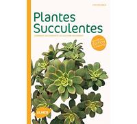 Plantes succulentes (NE). Comment les choisir et les cultiver facilement