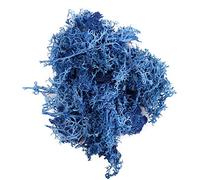 Plantes vertes artificielles - 20 g - Vie éternelle - Mousse - Pour la décoration de la maison, du salon, du jardin - Mini paysage - Fleurs artificielles - Bricolage - Bleu foncé