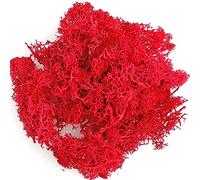 Plantes vertes artificielles - 20 g - Vie éternelle - Mousse - Pour la maison, le salon, le jardin - Mini paysage - Fleurs artificielles - Bricolage - Rouge