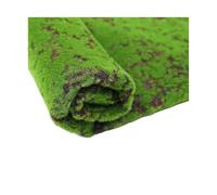 Plantes vertes artificielles mousse herbe fausse herbe vie éternelle Mini paysage artisanat for maison jardin hôtel décoration matelas de paille(Style3)