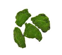 Plantes vertes artificielles mousse herbe fausse vie éternelle Mini paysage artisanat for maison jardin hôtel décoration matelas de paille pour Micro Paysage Miniature Décoration Maison Déc(Style1)