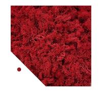 Plantes vertes artificielles mousse herbe Mini paysage bricolage artisanat vie fausse herbe for jardin maison hôtel décoration 500/1000/100g(Red,100g)
