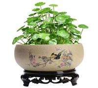 Planteur de bol de lotus en céramique Plavier 6.5x2.6 Plancheur hydroponique motif lotus style chinois avec base en plastique exquise et rustique Pot sans drain pour, lis d'eau et plus, styl