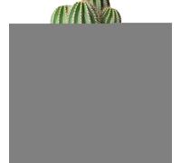 Planteur de Corps féminin - de résine Artistique de 15 cm, récipient décoratif Moderne, Porte- créatif, Sculpture Cactus élégante, Vase végétal Unique | Planteur en Forme de Corps
