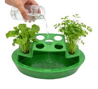 Planteur d'oignon hydroponique - Plateau hydroponique pour repousse d'oignons verts | Conteneur de légumes Scallion pour Windowsill, comptoir, balcon et plantation d'intérieur
