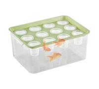 Planteur et aquarium aquaponiques pour poissons Betta - Pour poissons Betta - Aquaponics Garden - Favorise un environnement hydroponique sain pour la décoration de table