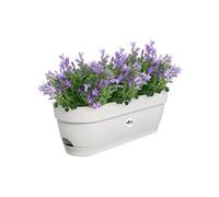 Planteur rectangle VIBIA - Plastique - Réservoir - Ø50 - Bleu Vintage