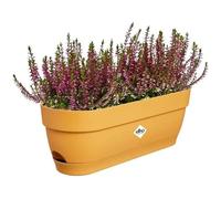 Elho Balconnière ovale Vibia Campana – Plastique, réservoir – 50 x 18,2 H 17 cm – Jaune miel