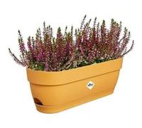 Elho Balconnière ovale Vibia Campana – Plastique, réservoir – 50 x 18,2 H 17 cm – Jaune miel