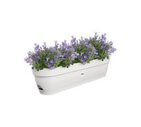 Elho Vibia Campana Balconnière 70 - Planteur pour Balcon - Ø 69.0 x H 17.0 cm - Blanc/Blanc Soie