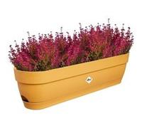Elho Planteur pour balcon Vibia Campana 70 - Ø 69 x H 17 cm - Jaune/Jaune miel