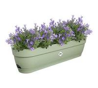 Elho Planteur pour balcon Vibia Campana 70 – Ø 69.0 x H 17.0 cm – Vert/Vert Pistache