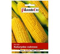 PlantiCo Maïs doux Golden Bantam 10g Graines Robustes Graines de Légumes Graines de Culture Serre Jardin Potager