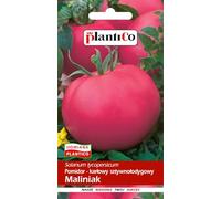 PlantiCo Tomates Framboise Maliniak 0,5 g Graines de tomates Graines de légumes robustes Graines de légumes Culture Semences Serre Jardin Potager