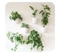 PlantPod Luxe - Self-Watering Wall Planters (Set of 6) - Easy to Water and Install - Lightweight - Design Your Own Vertical Garden - Wall Planters for Indoor Plants
